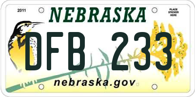NE license plate DFB233