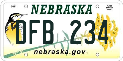 NE license plate DFB234
