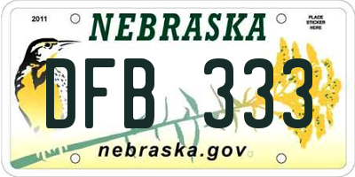 NE license plate DFB333