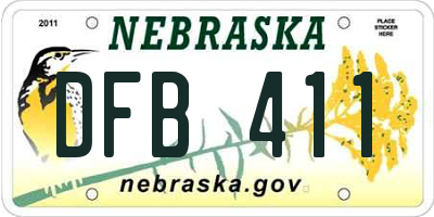 NE license plate DFB411