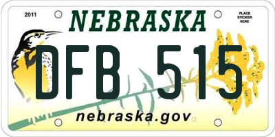 NE license plate DFB515