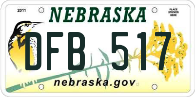 NE license plate DFB517