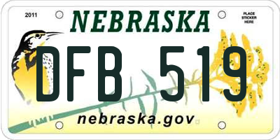 NE license plate DFB519