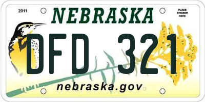 NE license plate DFD321