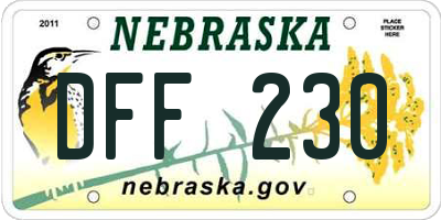 NE license plate DFF230