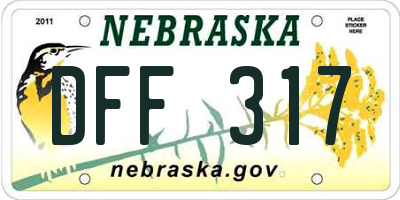 NE license plate DFF317