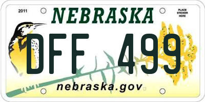 NE license plate DFF499
