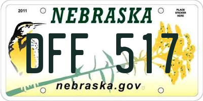 NE license plate DFF517