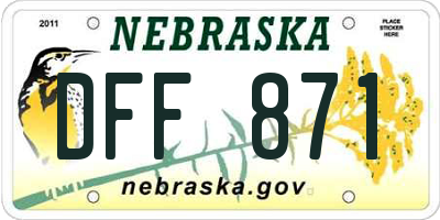 NE license plate DFF871