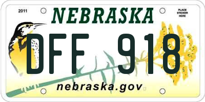 NE license plate DFF918