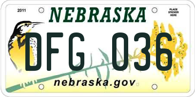 NE license plate DFG036