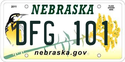 NE license plate DFG101