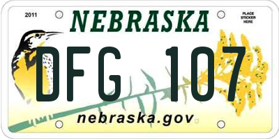 NE license plate DFG107