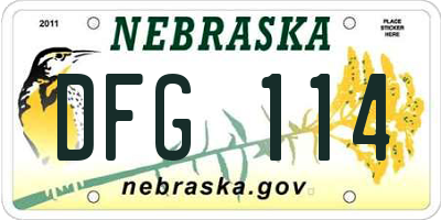 NE license plate DFG114