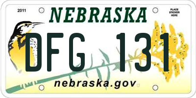 NE license plate DFG131