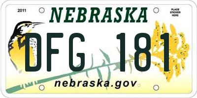 NE license plate DFG181