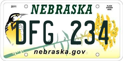 NE license plate DFG234