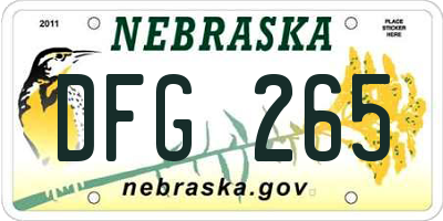 NE license plate DFG265