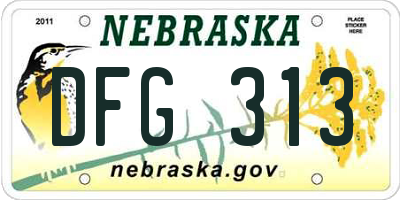 NE license plate DFG313