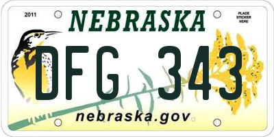 NE license plate DFG343