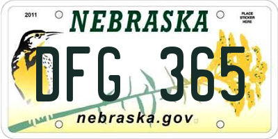 NE license plate DFG365