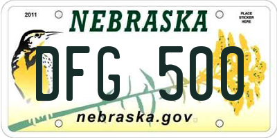 NE license plate DFG500