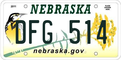 NE license plate DFG514