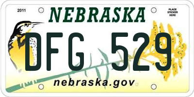 NE license plate DFG529
