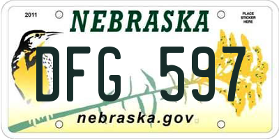 NE license plate DFG597