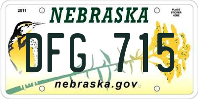 NE license plate DFG715