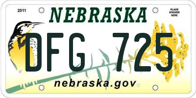 NE license plate DFG725