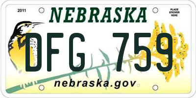NE license plate DFG759