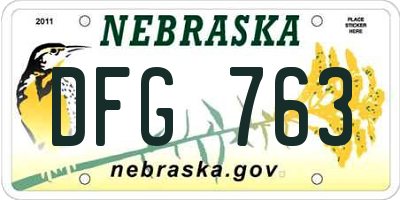 NE license plate DFG763