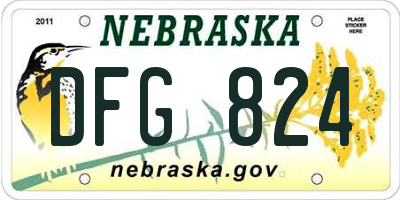 NE license plate DFG824
