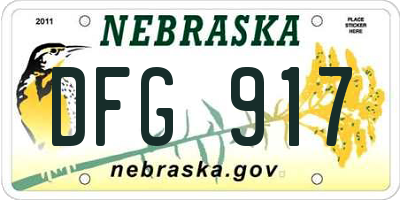 NE license plate DFG917