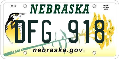 NE license plate DFG918