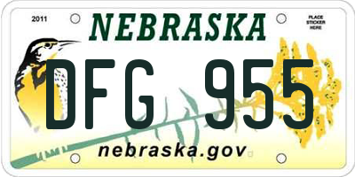 NE license plate DFG955