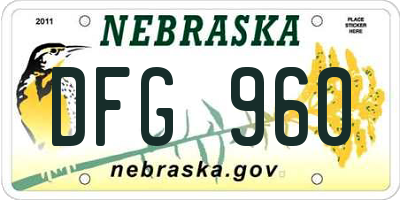 NE license plate DFG960