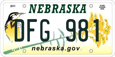 NE license plate DFG981