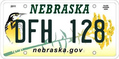 NE license plate DFH128