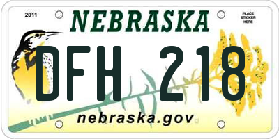 NE license plate DFH218