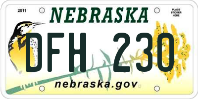 NE license plate DFH230