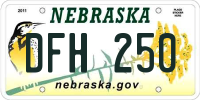 NE license plate DFH250
