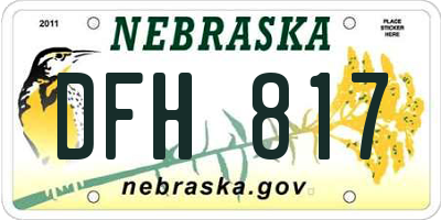 NE license plate DFH817