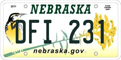 NE license plate DFI231