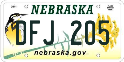 NE license plate DFJ205