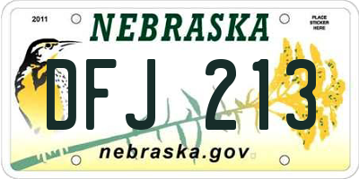 NE license plate DFJ213