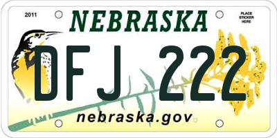 NE license plate DFJ222