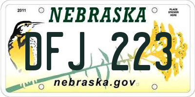NE license plate DFJ223