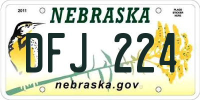 NE license plate DFJ224